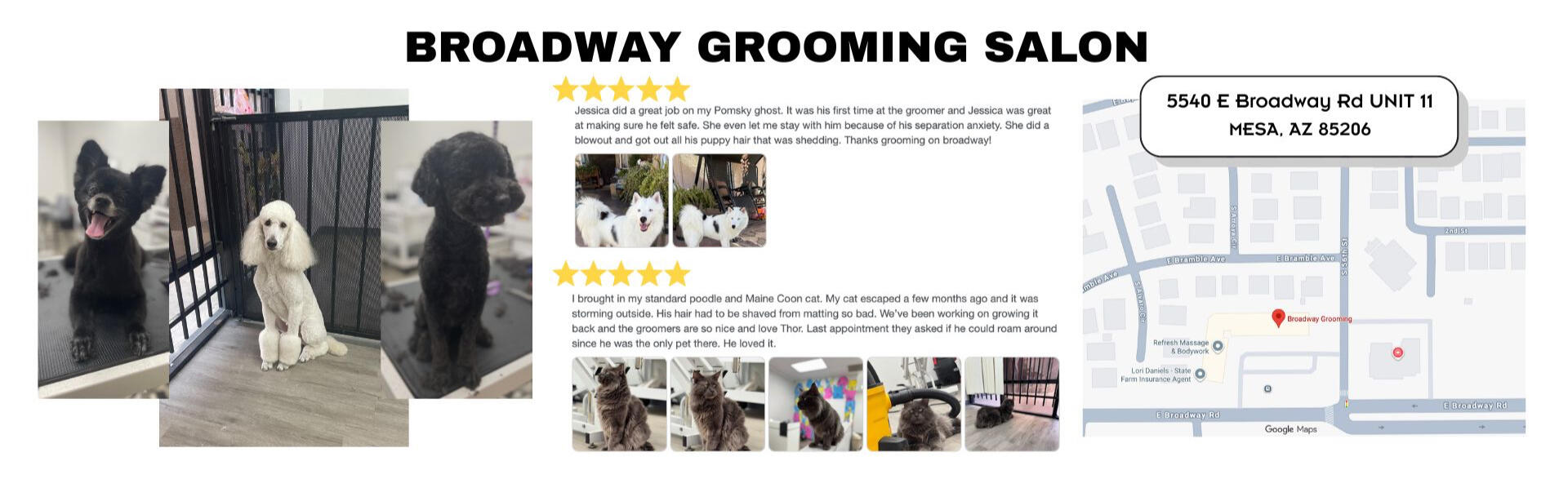 Why our current Broadway Grooming Salon Clients love us.